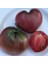 Dwarf Purple Heart Kalp Domates Tohumu (15 Tohum) 2