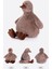20CM Eğlenceli Radom Sevimli Ördek Peluş Oyuncak Ördek (Yurt Dışından) 4