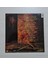 - Slave To The Grind - 1991 Ilk Baskı - Dönem Baskı Plak - Longplay - Lp 2
