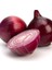 Sunagri Mor Soğan Tohumu - Uzun Gün Çeşidi Yüksek Rakımlara Uyumlu 2