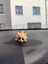 Sevimli Köpek Shiba Torpido Süsü Aksesuarı Dikiz Ayna Süsü 5