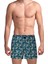 Poplin Erkek Boxer Papatya Ormanı 1