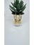 Stainless Steel Gold Kaplama Taş Detaylı Oval Sarkıt Küpe 1