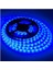 Mavi Şerit LED 12V (5 Metre) 1
