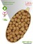 Çorum Özel Serisi Baharat ve Sarımsak Aromalı Taze Çıtır Leblebi 500 gr 1