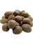 Hint Cevizi Muskat Küçük Hindistan Cevizi Doğal 100 gr Paket 1