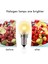 E14 Yüksek Sıcaklık Ampulü 500 Derece 25W Halojen Kabarcık Fırın Ampulü E14 250V 25W Kuvars Ampul (Yurt Dışından) 3