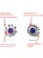 Philips Norelco Tıraş Bıçağı PT725 720 HQ7310 6070 6090 7183XL 7180XL 7145XL Için 3 Adet Yedek Hq8 Tıraş Makinesi Başlığı Kesici (Yurt Dışından) 3