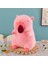 Kirpi Balığı Bebek Peluş Oyuncak (Yurt Dışından) 1