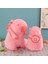 Kirpi Balığı Bebek Peluş Oyuncak (Yurt Dışından) 1