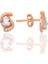 Gümüş Rose Zirkon Taşlı Göz Modeli Küpe SGTL12777ROSE 1