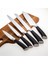 Utsuri Professional 5 Parça Bıçak Seti 1