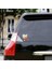 Master Küfürbaz Haydo Sticker Araba Oto Etiket Çıkartma Motor Pc Bilgisayar 11 x 13 cm 3