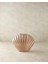 Home Shell Cam Vazo Kahverengi 3