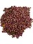 LISINYA214 Ispanak Tohumu (Zirai Ekim Için Ilaçlıdır) 100 gr Paket - 334444-1453 4