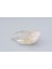 Hakiki Doğal Kristal Kuvars Taşı Kaya Parçası 77 Gram 1