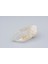 Hakiki Doğal Kristal Kuvars Taşı Kaya Parçası 77 Gram 2