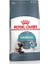 Hairball Tüy Yumağı Önleyici Yetişkin Kedi Maması 2 kg 1