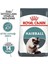 Hairball Tüy Yumağı Önleyici Yetişkin Kedi Maması 2 kg 2