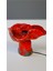 Stonehenge 55 Dokulu Handmade Lambader 1