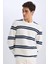 Regular Fit Bisiklet Yaka Dokulu Sweatshirt D7595AX25SP 1