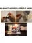 LED Işıklı Minyatür Oda Maketi – Ahşap Kendin Yap Hobi Seti | Dekoratif DIY Maket Ev - Minyatür Maket Kiti 2