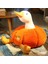 75CM Balkabağı Ördek Peluş Bebek Sevimli Yastık (Yurt Dışından) 1