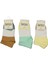 Erkek 6/10 Yaş Ortası Lastikli Çorap 1