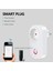 Akıllı Wifi Priz: Alexa ve Google Home ile Ses Kontrolü, Eu (Yurt Dışından) 4