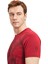 Orijinal Lisanslı Aslan Baskılı T-Shirt 5