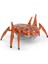 Hexbots Nano Scarab & Beetle 5