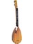 Çocuk Asl-11 Aslan, Saz Bağlama Oyuncak 1