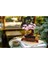Çocuk Icons Bonsai Ağacı 10281 4