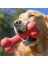 Kemik Şeklinde Kauçuk Köpek Oyuncağı Large 21 cm Kırmızı 3