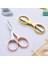 Altın Tarzı Nakış Dikiş Veya Dikiş Katlanır Veya Terzi Veya Dikiş Aksesuar Aletler Malzemeler Metal Kesme Veya (Yurt Dışından) 3