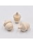 10 Adet Tarzı 3-4cm 20 Adet Ahşap Palamut Dıy El Sanatları Bitmemiş Ahşap El-Boyalı Oyuncak Araba Ahşap Günlük Renk Takı Aksesuarları Ev Dekorasyon Süsler (Yurt Dışından) 5