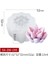 SX-ZW-195 Stili Etli Sıvı Silikon Kalıp 3D Etli Mum Kalıbı Dıy El Yapımı Sabun Kalıbı Kek Dekorasyon Fondan Kek Kalıbı Çiçek Kalıbı (Yurt Dışından) 1