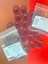 Bordo Düğme KOD:232525 3