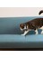 Cheerble Şarjlı Akıllı Interaktif Lazer Tasma Kedi Oyuncağı 34X3,5CM 1