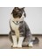 Cheerble Şarjlı Akıllı Interaktif Lazer Tasma Kedi Oyuncağı 34X3,5CM 2