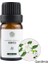 Gardenya Tarzı 10 ml Mumlar Mum Kokusu Doğal Bitki Esansiyel Yağı Lavanta Portakal Çiçeği Gardenya Sandal Ağacı Uçucu Yağlar (Yurt Dışından) 1