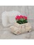 3D Araba Sukulent Bitki Saksı Reçine Silikon Kalıp Sevimli Karikatür Araba Saklama Kutusu Mum Bardak Beton Alçı Kalıp (Yurt Dışından) 3