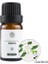 Gardenya Tarzı 10 ml Mumlar Mum Kokusu Doğal Bitki Esansiyel Yağı Lavanta Portakal Çiçeği Gardenya Sandal Ağacı Uçucu Yağlar (Yurt Dışından) 1