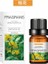 Osmanthus Stili Mum Yapımı Için Esansiyel Yağ Koku Yağı ile Yapılan 10ML Suda Çözünür Aromaterapi Uçucu Yağ Makinesi Nemlendirici (Yurt Dışından) 1