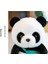 30CM Vizon Kadife Panda Doldurulmuş Oyuncak Sevimli (Yurt Dışından) 4