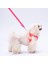 Neon Pembe Leash Kedi Köpek Sevk & Gezdirme Kayışı Köpek Uzatma Tasması 3