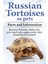 Russian Tortoises As Pets. Russian Tortoise / Facts And Information. Daily Care, Pro's And Cons, Cage - George Hoppendale 1