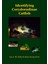 Identifying Corydoradine Catfish - Ian Fuller 1