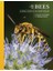 Lives Of Bees / A Natural History Of Our Planet's Bee Life - Christina Grozinger 1