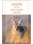 Coyote At The Kitchen Door / Living With Wildlife In Suburbia - Stephen DeStefano 1